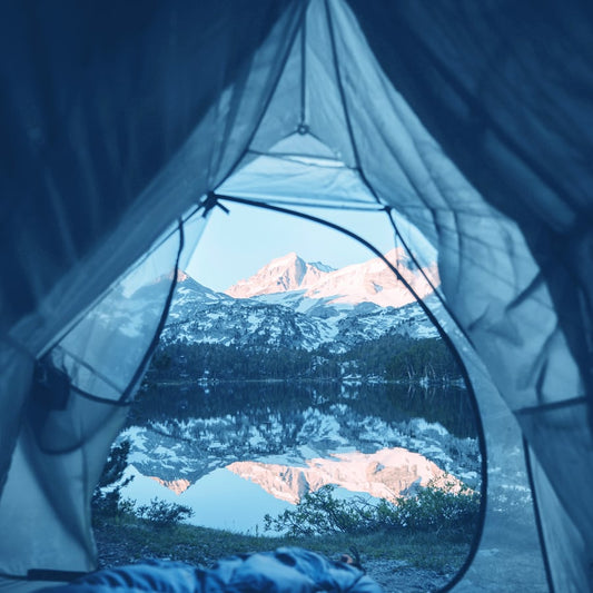 The view from a tent